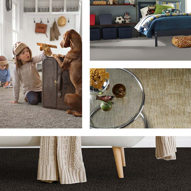 Pet Defense carpet exclusively at Abbey Carpet & Floor