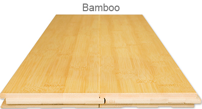 Bamboo